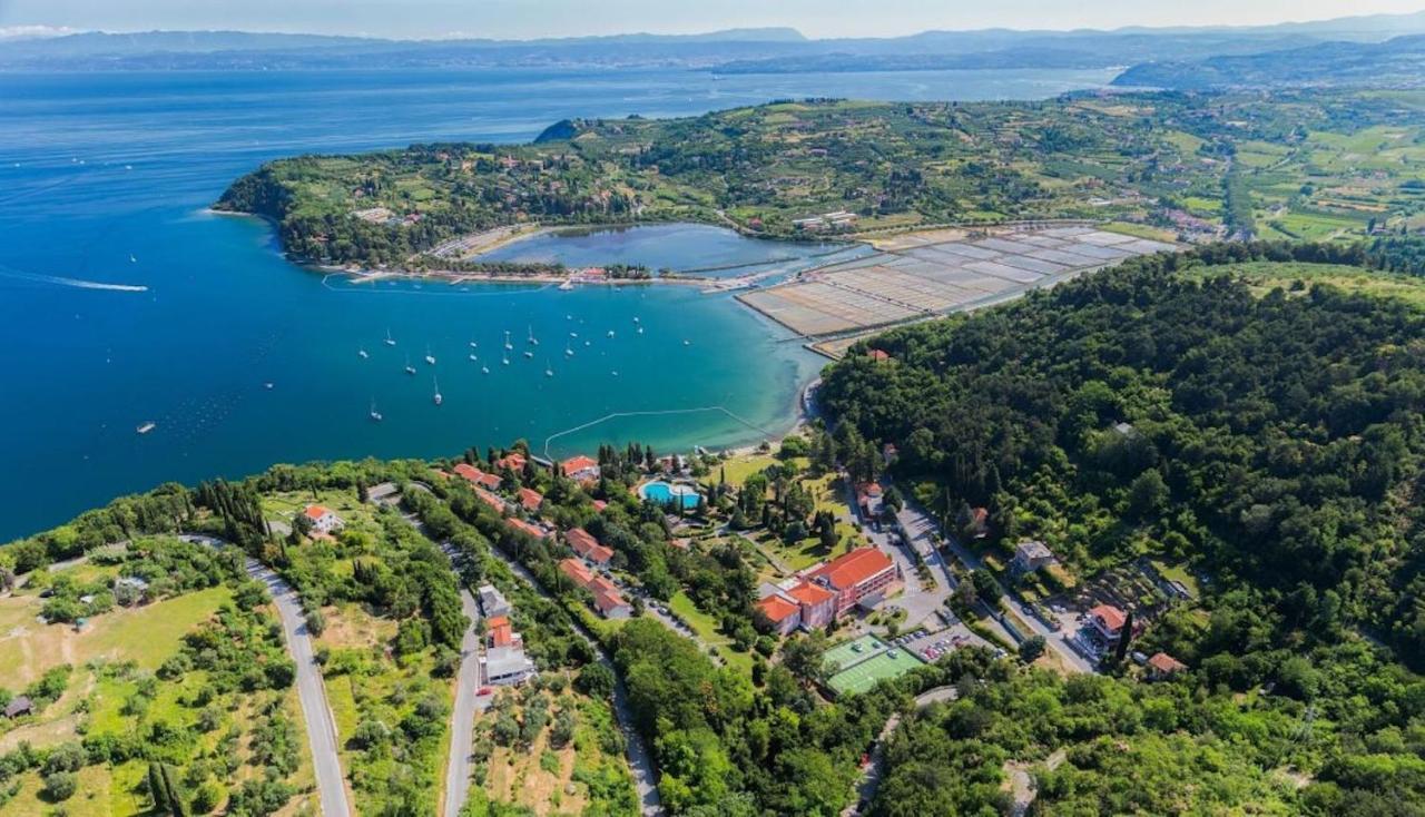 Dino Studio And Room Apartments Portorož Exterior foto
